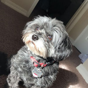 Meet your Posher, Jamie